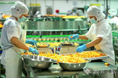 “农企对接”稳外贸促增收 食品销售新引擎